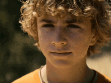 a young boy with blonde curly hair looks at the camera