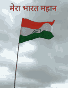 Flag Of India Flag GIF