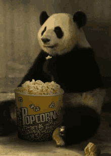 Panda Eating GIF