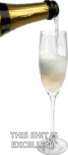 Champagne Pouring Drinks GIF - Champagne Pouring Drinks Bubbly GIFs