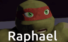 raphael turtles