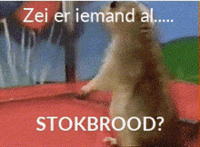 Stokbrood GIF - Stokbrood GIFs