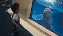 You Think You'Re Safe Behind That Glass...?! GIF