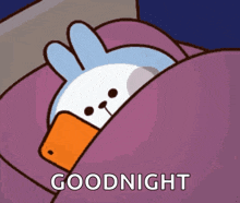 Good Night Bunny GIF - Good Night Bunny Sleepy GIFs