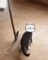 a cat with a cartoon face on its head
