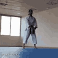 Miguekarateka Shotokan GIF - Miguekarateka Karate Shotokan GIFs