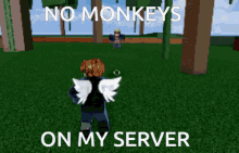 No Monkeys No Monkey GIF - No Monkeys No Monkey No Monkey On My Server GIFs