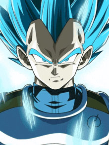 Int Ssb Goku And Vegeta Super Saiyan Blue GIF - Int Ssb Goku And Vegeta Goku Vegeta GIFs