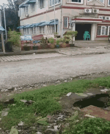 Road View GIF