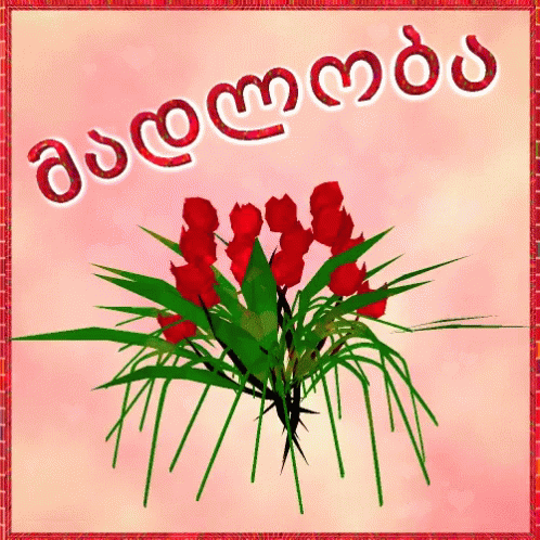 Madloba Gmadlobt GIF - Madloba Gmadlobt Yvavilebi GIFs