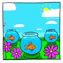 a cartoon of fish in bowls with the website relaxfish.com