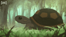 a turtle is walking through a forest with the words [ as ] in the upper right corner