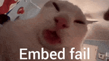 Cat Lick Embed Fail GIF - Cat Lick Embed Fail Cat Lick Embed Fail GIFs