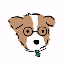 brown white puppy smart glasses