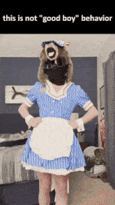 a person dressed as a maid with the words this is not " good boy " behavior