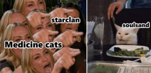 Wcbl Starclan GIF - Wcbl Starclan Cat GIFs