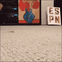 Cat Carpet GIF