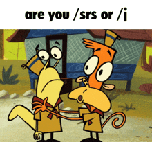 Are You Srs Or J Camp Lazlo GIF