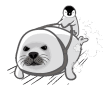 Seal Sea Lion GIF - Seal Sea Lion Penguin GIFs