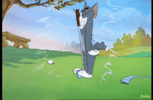 a cartoon of tom and jerry playing golf with the caption jbaños