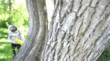 a person in a bee suit is standing next to a tree trunk