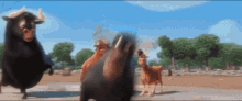 bull stomp dance animal cartoon