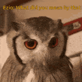 ezio owl