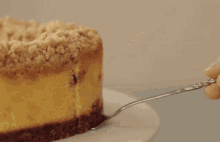 Cheesecake Cheesecake Day GIF