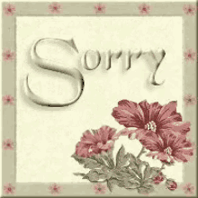 Sorry Im Sorry GIF