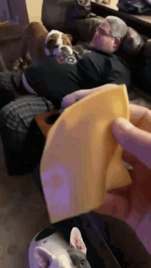 Bobert Bobert Cheese GIF - Bobert Bobert Cheese Kid Behind A Camera GIFs
