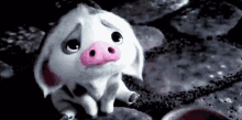 Bummer Pig GIF - Bummer Pig Sad GIFs