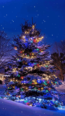 tree lights tree snow merry christmas