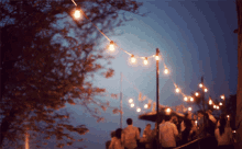 Lights Party GIF - Lights Party Fun GIFs