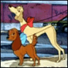 Dogs Tail Wagging GIF - Dogs Tail Wagging Twerking GIFs