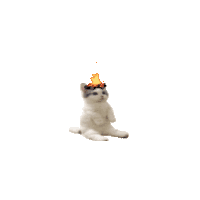 Cat Campfire Sticker - Cat Campfire Stickers