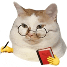 a cat wearing glasses and holding a book