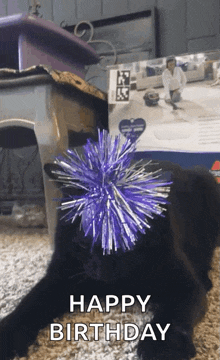 Angry Cat GIF - Angry Cat Dramatic GIFs