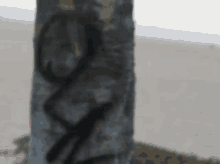 a blurred image of a tree trunk with graffiti on it including the letters o and v
