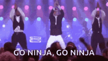 Dance Go Ninja GIF - Dance Go Ninja Cheering GIFs