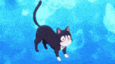 a black and white cat is swimming in the ocean