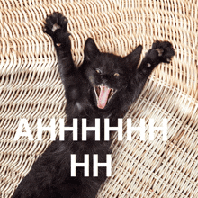 a black cat is laying on a wicker blanket with its mouth open and the words ahhhhhh hh above it