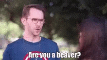 Are You A Beaver? GIF