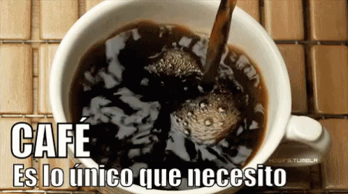 Café Es lo único que necesito