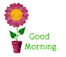 good morning flower happy