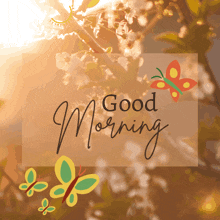 Good Morning Images New 2023 Good Morning Sun GIF - Good Morning Images New 2023 Good Morning Good Morning Sun GIFs