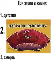 a cartoon of an angry bird with the words " три этапа в жизни " on the bottom