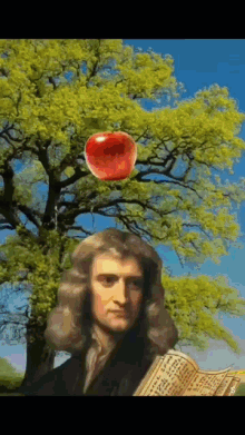 Newton Apple GIF - Newton Apple Fall - Discover & Share GIFs