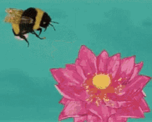 Flower Bee GIF - Flower Bee GIFs