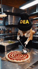 a dog wearing a beanie with the word dea on it is making a pizza