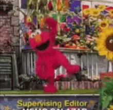 Elmo Elmos World GIF